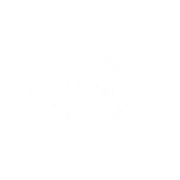 Logo 7