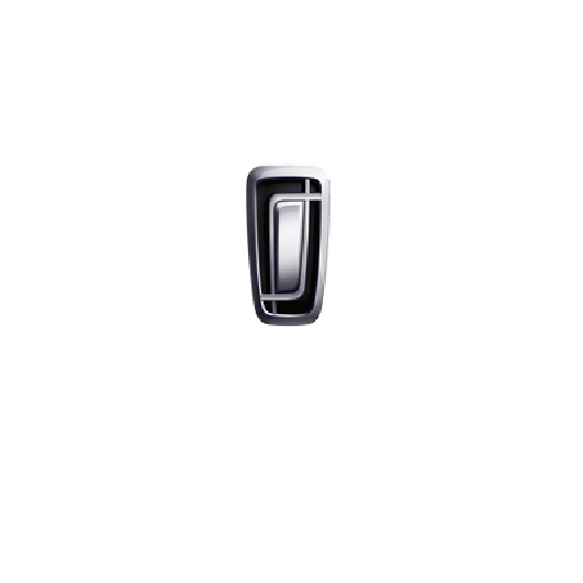 Logo 12